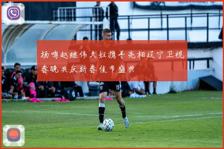 杨鸣赵继伟夫妇携手亮相辽宁卫视春晚共庆新春佳节盛典