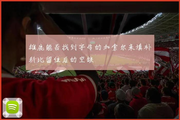 雄鹿能否找到字母的加索尔来填补科比留住后的空缺