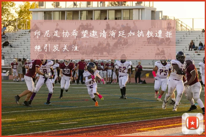 印尼足协希望邀请海廷加执教遭拒绝引发关注