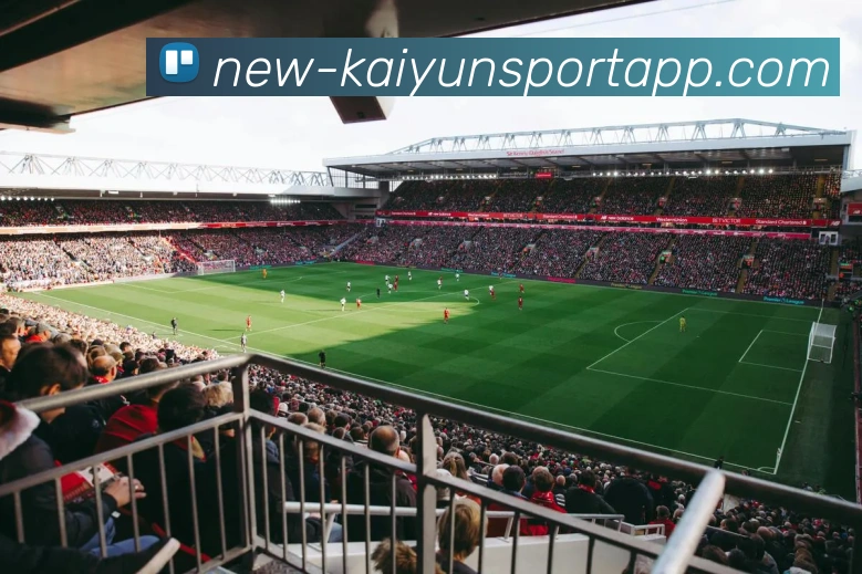 开云足球平台生态图