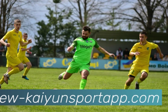 开云足球APP 封面图